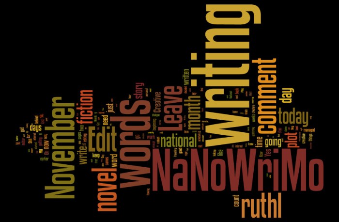 nanowrimo-word-cloud