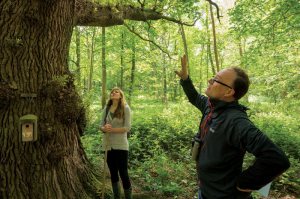 2858_newsci_whytham_073-800x533